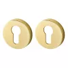 Накладка Armadillo под цилиндр ET.R.URB52 (ET URB) GOLD-24 золото 24К