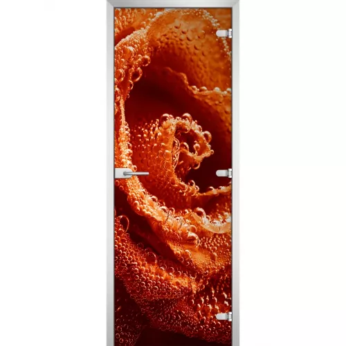 Стеклянная дверь Flowers-04
