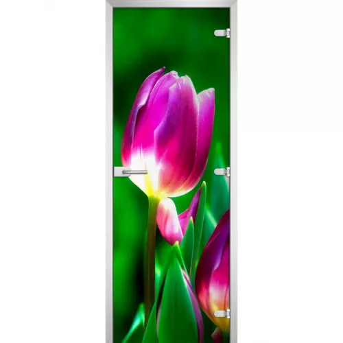 Стеклянная дверь Flowers-15