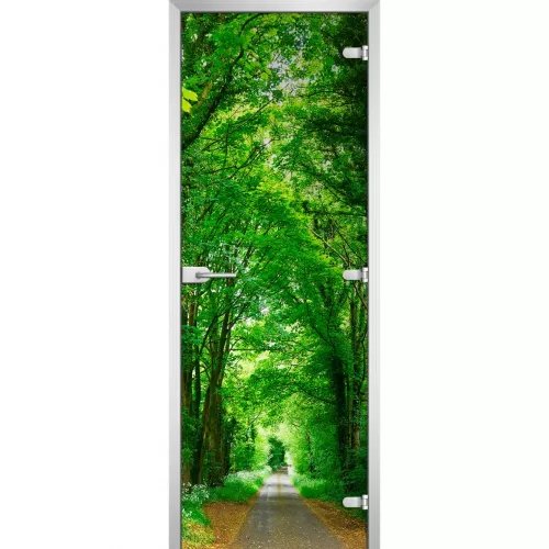 Стеклянная дверь Forest-05