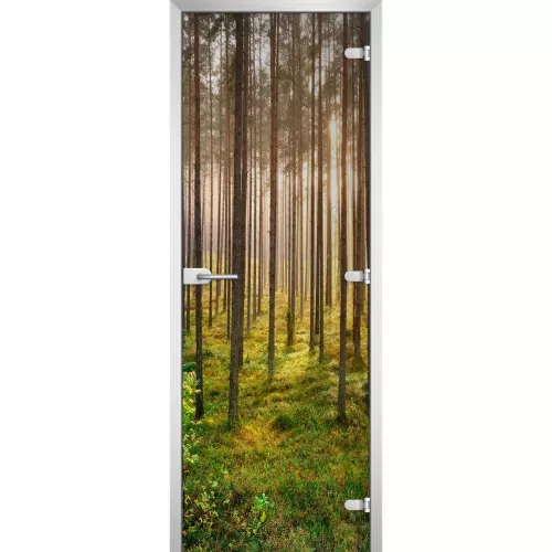 Стеклянная дверь Forest-13