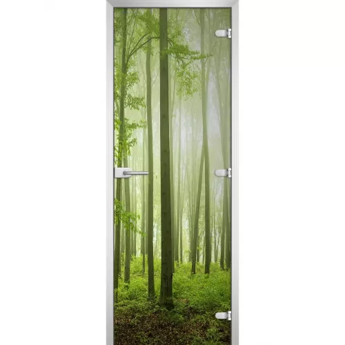 Стеклянная дверь Forest-15
