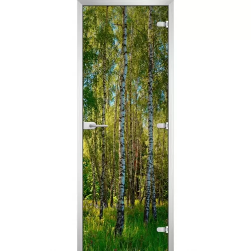 Стеклянная дверь Forest-20
